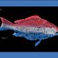 Realfish Indoor/Outdoor Floor Mats - Dogfish Tackle & Marine
