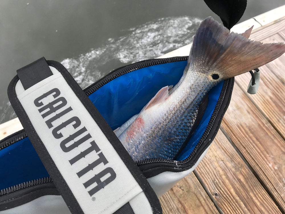 Calcutta Renegade Fish Cooler - Dogfish Tackle & Marine
