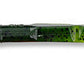 Gary Yamamoto 5" Swimming Senko - Dogfish Tackle & Marine