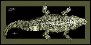 RealFish Gyotaku Floor Mats - Dogfish Tackle & Marine