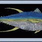 RealFish Gyotaku Floor Mats - Dogfish Tackle & Marine