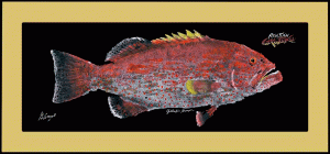 RealFish Gyotaku Floor Mats - Dogfish Tackle & Marine