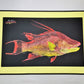 RealFish Gyotaku Floor Mats - Dogfish Tackle & Marine
