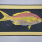 RealFish Gyotaku Floor Mats - Dogfish Tackle & Marine