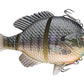 Savage Gear 5IN Bluegill - Dogfish Tackle & Marine