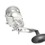 Accurate Tern 2 Conventional Star Drag - Dogfish Tackle & Marine