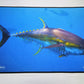 RealFish Gyotaku Floor Mats - Dogfish Tackle & Marine